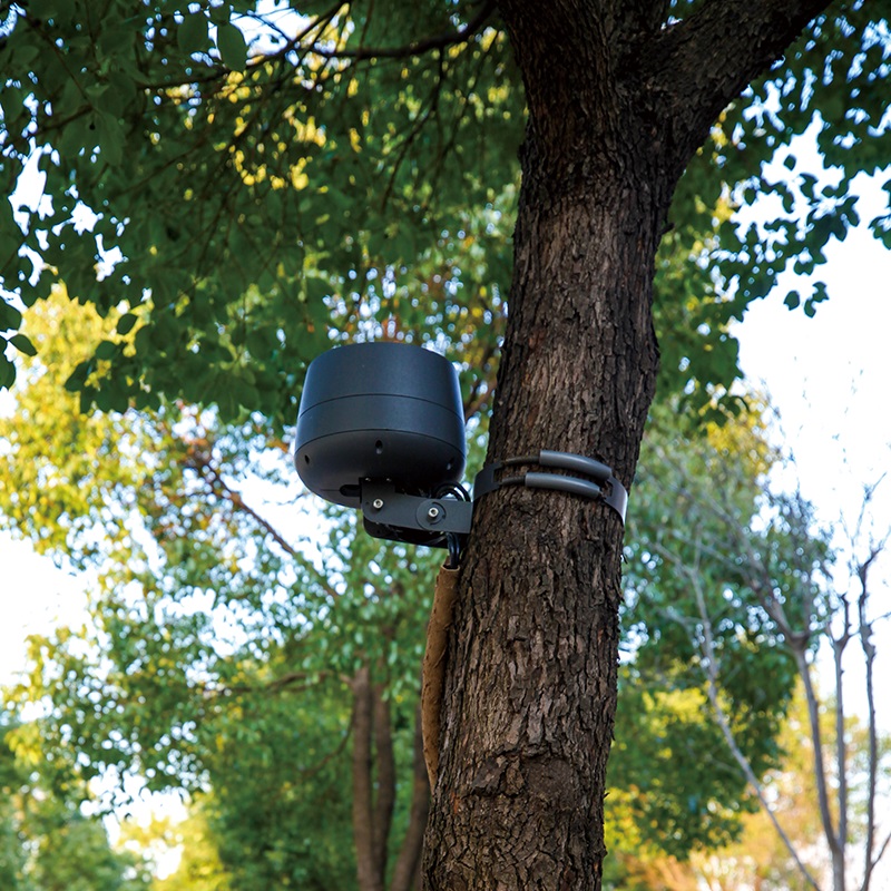 Lámpara de iluminación de poste de paisaje de jardín AT6