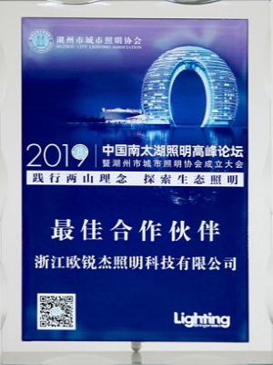 Mejor socio del foro de la cumbre de iluminación de South Taihu 