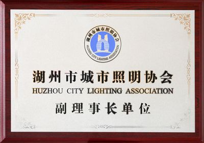 Vicepresidente de la Unidad de la Asociación de Iluminación de Huzhou 