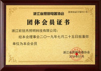 Certificado de miembro del grupo de la Asociación de electrodomésticos de iluminación de Zhejiang 